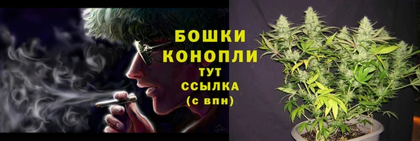 прущие крисы Болхов