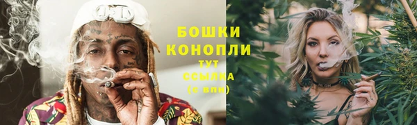 дмт Елизово