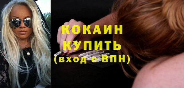 МДПВ Ельня