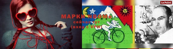 дмт Елизово