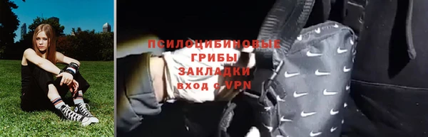 МДПВ Ельня