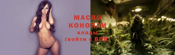 МДПВ Ельня