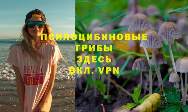 дмт Елизово