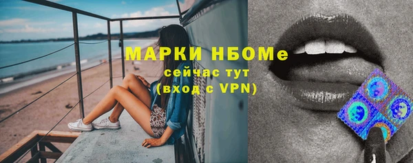 МДПВ Ельня