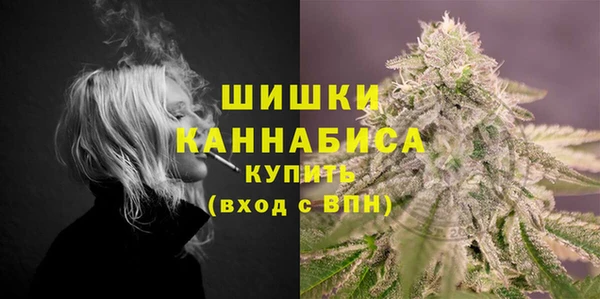 дмт Елизово