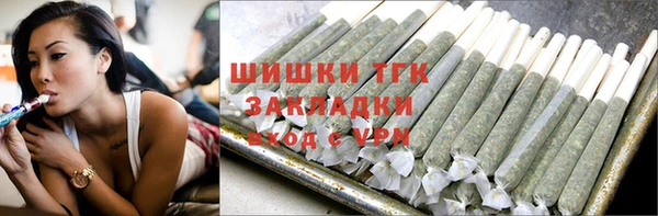 МДПВ Ельня
