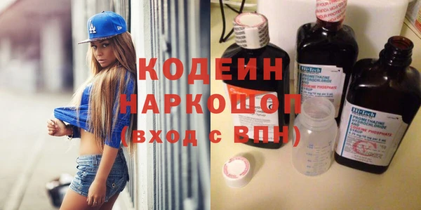 дмт Елизово