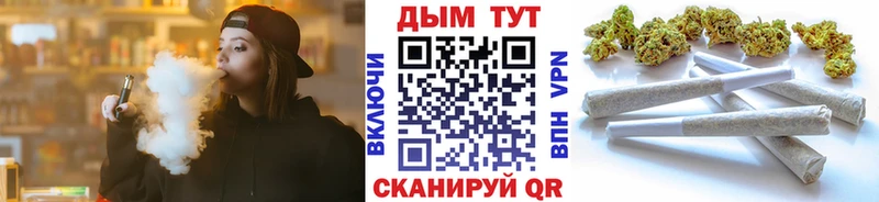 Марихуана сатива  Калачинск 